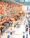 Delhi Airport Emerges as World's 9th Busiest Airport in 2024: ACI30