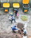 South Delhi colony marks 8 years of zero landfill waste33