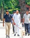 Three Held for 'Stealing' Jewellery, Cash Worth Over Rs 2.5 Crore in Delhi37