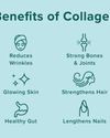 Unlocking the power of collagen for health and vitality54