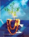 Karthik month: A sacred time for devotion and spiritual renewal42