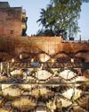 Jodhpur Arts Week: Majestic celebration of Marwar's art and culture48