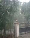Public barred access to Coimbatore’ s ‘Courtallam waterfall’ due to flooding17