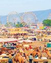 PUSHKAR FAIR: A FESTIVE EXTRAVAGANZA OF LIVESTOCK AND CULTURE PUSHKAR FAIR: A FESTIVE EXTRAVAGANZA OF LIVESTOCK AND CULTURE53