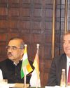 Germany, India deepen green energy partnership0