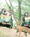 Farmer dies in tiger attack, safaris suspended in Nagarahole Farmer dies in tiger attack, safaris suspended in Nagarahole15