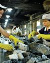 CHINA SUSPENDS EXPORT RESTRICTIONS ON KEY MATERIALS TO US48