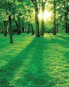 Unlocking a sorted life and inner clarity50