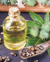 CASTOR OIL: LIQUID GOLD FOR YOUR SKIN, HAIR, AND HEALTH51