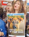 Protesters slam SC order on removing stray dogs14