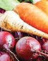 RETURN OF ROOT VEGETABLES: WHY BEETROOT, CARROTS & SWEET POTATOES RULE WINTER PLATES75