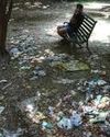 HC issues notice on illegal conversion of public park into party lawn in Nizamuddin HC issues notice on illegal conversion of public park into party lawn in Nizamuddin17