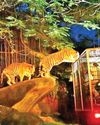 CLEAR SKIES AND ADVENTURE: EXPERIENCING A NIGHT SAFARI CLEAR SKIES AND ADVENTURE: EXPERIENCING A NIGHT SAFARI38