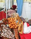 Death Toll in Yamuna Expressway accident rises to 19 Death Toll in Yamuna Expressway accident rises to 1923