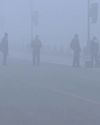 Delhi's haze and policy maze: Why our air emergency is also a governance failure38