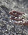 India’s critical minerals mission directionally right but moving slower than expected: Novasensa40