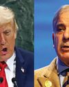 Washington Pushes for Trade, Minerals Partnerships with Pakistan Washington Pushes for Trade, Minerals Partnerships with Pakistan51