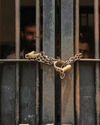 ONE MORE HINDU MAN SHOT DEAD IN BANGLADESH37