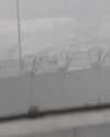 60 arrivals, 58 departures flights cancelled due to dense fog24