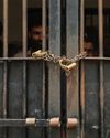 INDIA PRESSES PAKISTAN ON REPATRIATION OF INDIANS INDIA PRESSES PAKISTAN ON REPATRIATION OF INDIANS49