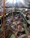 DELHI HC ORDERS SUO MOTU PIL OVER LACK OF FACILITIES AT NIGHT SHELTERS DELHI HC ORDERS SUO MOTU PIL OVER LACK OF FACILITIES AT NIGHT SHELTERS15