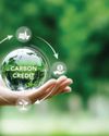 Delhi Cabinet okays carbon credit monetisation framework to boost green revenue23