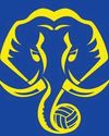 Kerala Blasters confirm ISL participation after government mediation75
