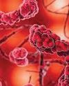Russian scientists develop method to boost effectiveness of anti-cancer medicines48