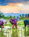 Rethinking rural resilience: How the Modi government's new Rozgar & Ajeevika push can deliver real income to villagers48