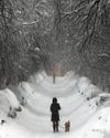 US sees over 14,000 flight cancellations as winter storm intensifies56