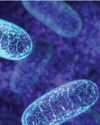 NATURAL BODY MOLECULE FOUND TO REDUCE STRESS, MAY AID METABOLIC DISORDERS76