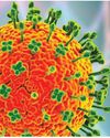 Nipah virus outbreak puts Asia on alert after fatal cases in India75