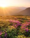 NATURE ESCAPES- RECHARGE, REFLECT, RECONNECT45