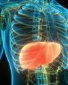 LIVER RELEASES PROTEINS IN LINE WITH BODY CLOCK: STUDY72