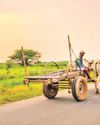 THE CHARM OF SIMPLICITY: TRAVELLING THROUGH VILLAGES50
