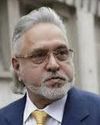 ‘You must return’: Bombay HC reprimands fugitive economic offender Vijay Mallya21
