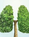 Healthy breathing, healthy life: Simple ways and foods that support lung health Healthy breathing, healthy life: Simple ways and foods that support lung health79