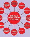 CORTISOL CHAOS: DON'T LET IT WIN37