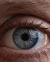 PERIPHERAL RETINA MAY HELP DETECT EARLY SIGNS OF ALZHEIMER'S DISEASE PERIPHERAL RETINA MAY HELP DETECT EARLY SIGNS OF ALZHEIMER'S DISEASE64