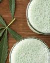 BEFORE YOU SIP THAT BHANG: WHAT THIS FESTIVE DRINK DOES TO YOUR BODY60