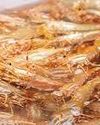 Honduras shrimp farmers protest after China ties hurt exports63