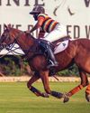Jaipur Polo Team defeats Nahargarh to win Shree Cement Cup65