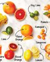 ORANGES AND LEMONS DAY: THE SWEET AND SOUR STORY OF A CITRUS TRADITION76