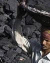 Coal paying important role in India's energy security amid West Asia crisis46