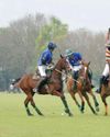 Rain halts Indian Open Polo exhibition match in Jaipur68