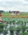 Strait of Hormuz closure triggers logistics shock for Indian fertilizer sector: Report Strait of Hormuz closure triggers logistics shock for Indian fertilizer sector: Report44