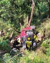 5 killed as car falls into 400m gorge in Nainital The Daily Guardian