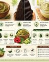 The Daily Guardian