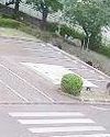 Japanese city suspends 94 schools after first-ever bear sighting Japanese city suspends 94 schools after first-ever bear sighting54
