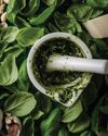 Green gold in your garden: Why basil is the star of summer Green gold in your garden: Why basil is the star of summer74